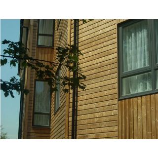 Thermowood Planed PMV Cladding 25 x 125mm (Fin. Size: 21 x 118mm) 70% PEFC Certified